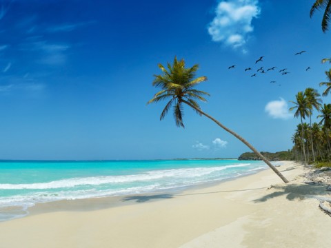 Beach Roatan Islands, Honduras
